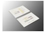 create a professional business card and brand identity